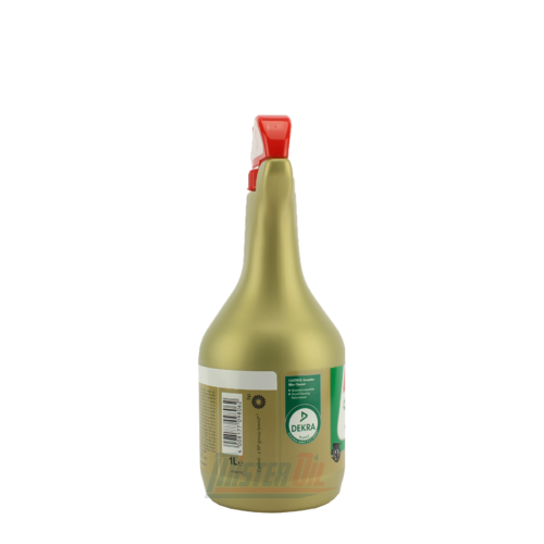 Castrol Greentec Bike Cleaner - 4